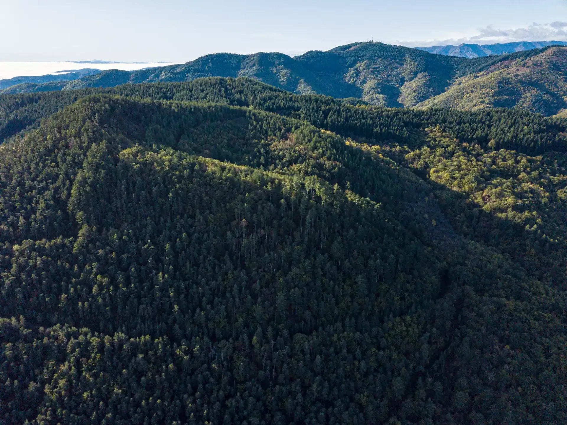 Le GRP Haute Cévenne d&rsquo;Ardèche en 4 jours