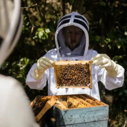 Baptême d’apiculture : une visite au cœur du rucher