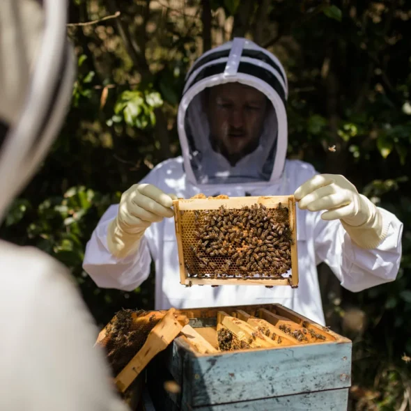 10 raisons d’aimer (encore plus) l’été en Ardèche