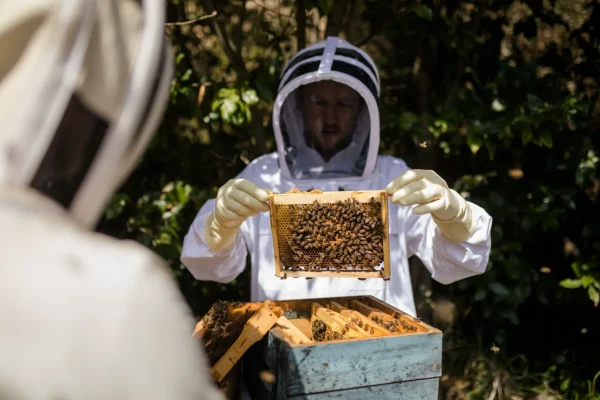 10 Gründe, den Sommer in der Ardèche (noch mehr) zu lieben