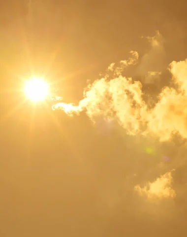 Activités quand il fait trop chaud