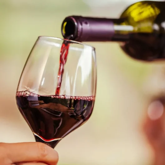 Les vins d&rsquo;Ardèche