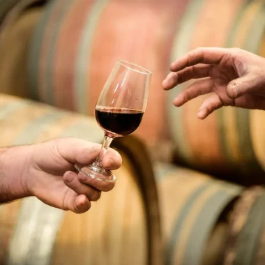Les vins d’Ardèche