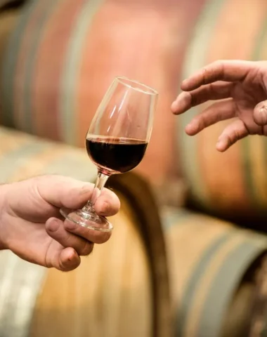 Les vins d&rsquo;Ardèche