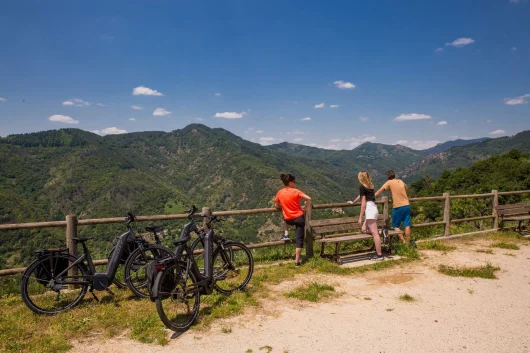 Voyager sans voiture