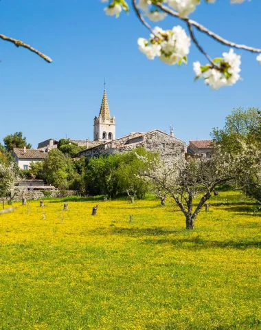 Lavilledieu
