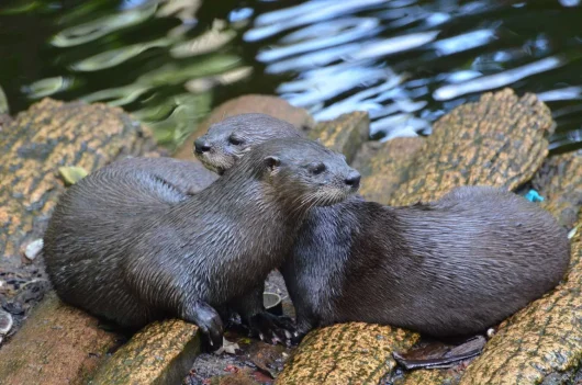 Les plus jolies rivières de l’Ardèche Secrète