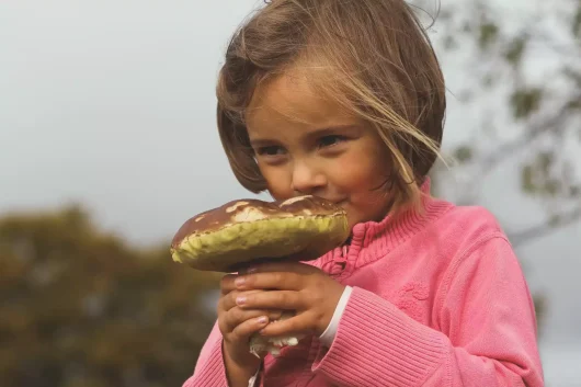 Champignons en Ardèche