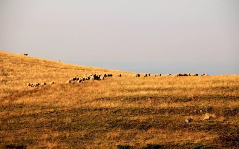 Le GRP Haute Cévenne d&rsquo;Ardèche en 4 jours