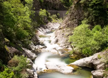 Ouvrir dans la galerie: la vallée de la Volane 