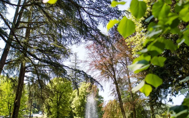 Parcs & Jardins