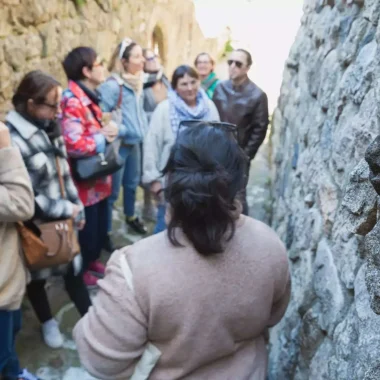 Visites guidées