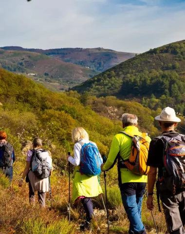 Begeleide wandelingen
