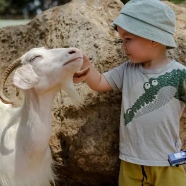Parcs de loisirs et animaliers
