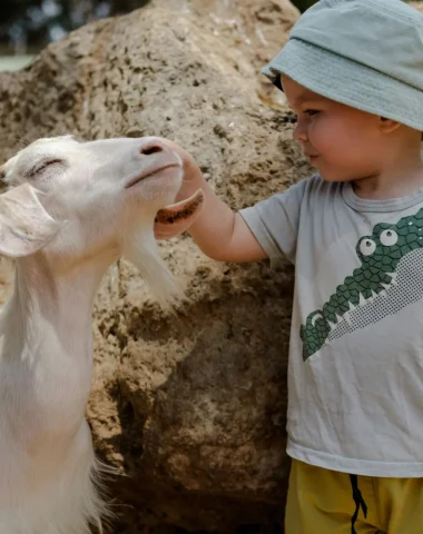 Parcs de loisirs et animaliers