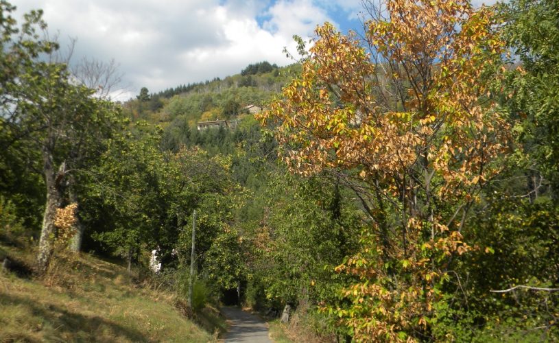 hameau les combes hautes