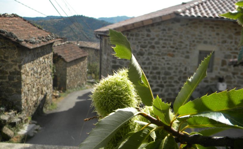 hameau les combes hautes