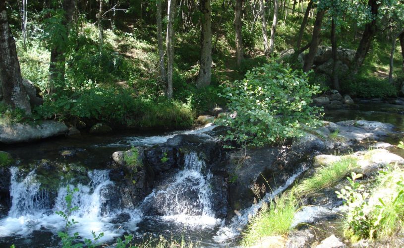 Les cascades du moulin