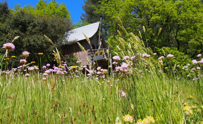 Cabane perchée La Polette