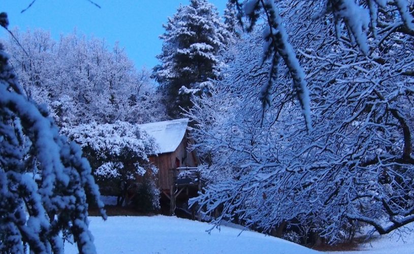 Cabane perchée La Polette